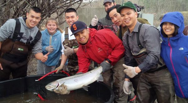 Credit river fishing report 2014